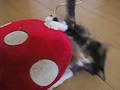 きのこ椅子大好き