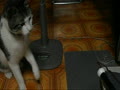 こわがり慶ちゃん。