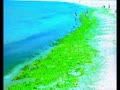 2000年次の江の島の写真公開