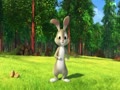 The rabbit is dancing out of the hole-d8c9be.mp4