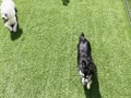 庭で遊ぼう② 庭で遊ぼう②