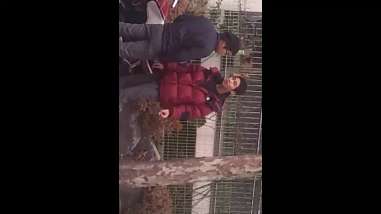 한국양아치