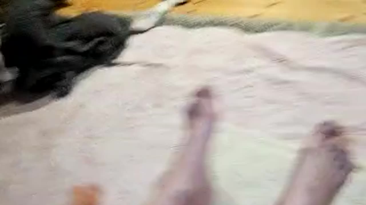 《深夜の性情》夜這い